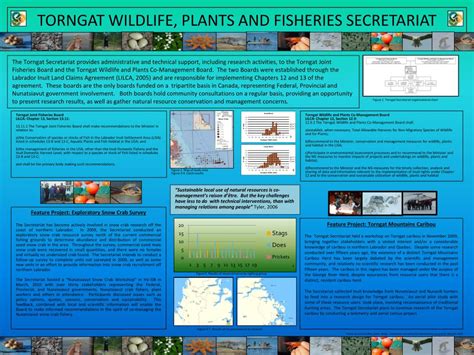 PPT - TORNGAT WILDLIFE, PLANTS AND FISHERIES SECRETARIAT PowerPoint Presentation - ID:3122635