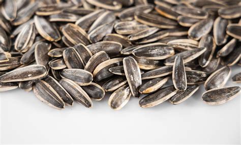 5 Health Benefits Of Sunflower Seeds