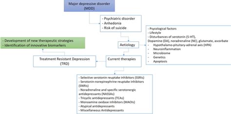 Schematic Representation Of Major Depressive Disorder Mdd Main Download Scientific Diagram