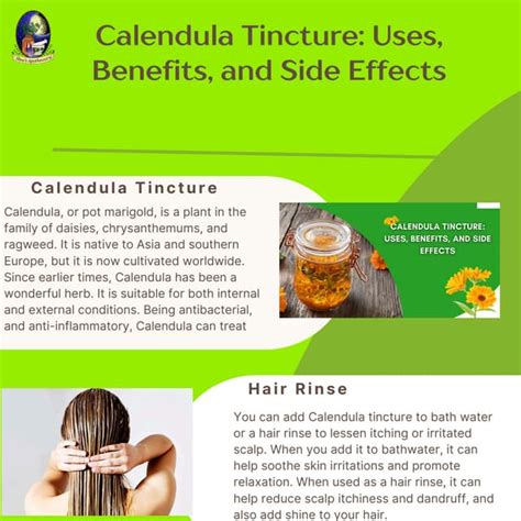 Calendula Tincture Uses Benefits And Side Effects Pdf