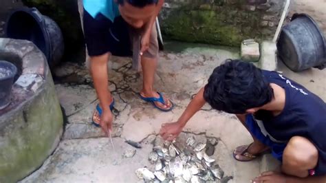 Hasil Mancing Ikan Kiper Lumayan Buat Lauk Makan Malam Youtube