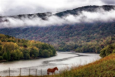 The Tennessee River Gorge Photograph By Susan Rissi Tregoning Fine Art America