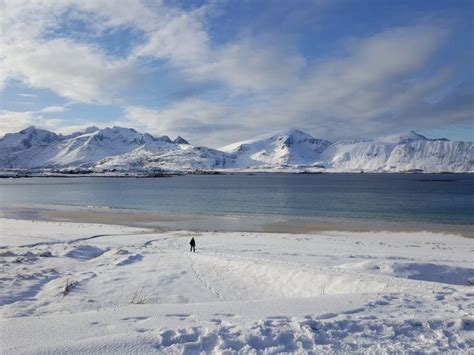 private full day sightseeing   svolvaer   lofoten lights