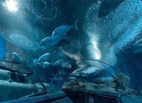 Pattaya Underwater World Pattaya Aquarium Admission Ticket