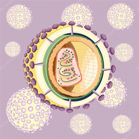 Hiv Virus Structure Animation