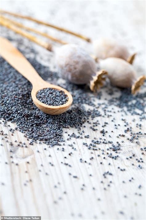 Toxic Poppy Seeds Recalled Pulled From Shelves Heart Attacks And