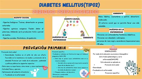 Diabetes Mellitus Tipo Brenda Cecilia Zapata Garabito Udocz