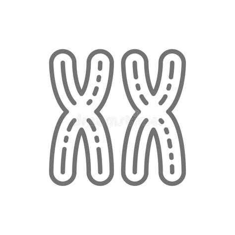 Xy Man And Woman Chromosomes Icon Style Is Flat Symbol Grey Color Isolated On White