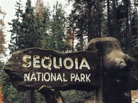 Top 10 Amazing Facts About The Sequoia National Park Discover Walks Blog