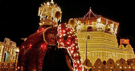 Sri Lanka: Tour highlights Kandy Esala Perahera festival - Los Angeles ...