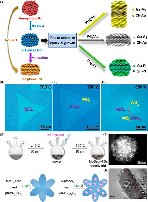 Recent Advances In Interface Engineering Strategy For Highlyefficient