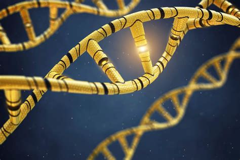 5 Pola Hereditas Dalam Materi Biologi Kelas 12 Beserta Penjelasannya