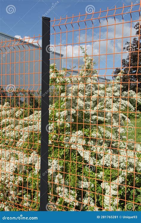 Garden Fence and Gate in Rigid Wire Mesh Panels Stock Image - Image of ...