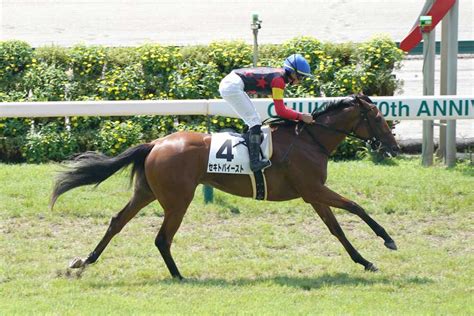 【3歳以上次走報】ローズs3着セキトバイーストは秋華賞へ｜競馬ニュース｜競馬予想のウマニティ