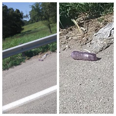 NSFW Is Anyone Missing Their Dildo If So I Found Him R Kansascity
