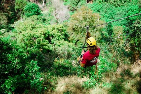 6 Line Treetop Zip Tour 2025 Maui