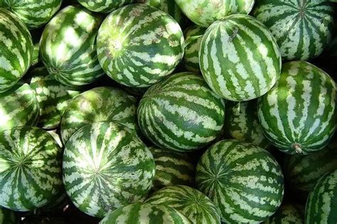 Til Oklahoma Declared Watermelon A Vegetable And Made It Their Official