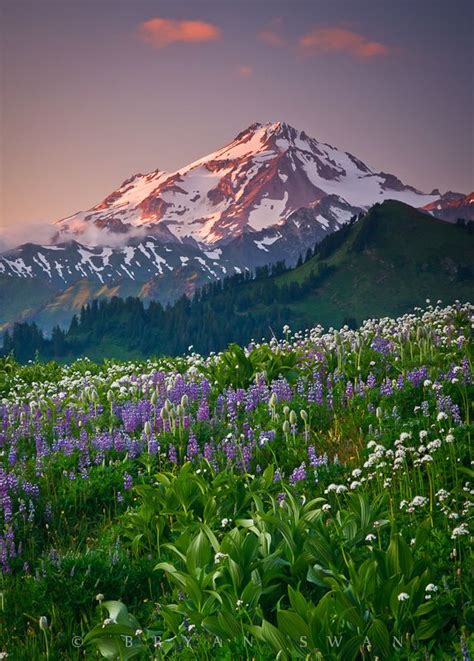 58 best GLACIER PEAK VOLCANO images on Pinterest | Volcano, Volcanoes ...