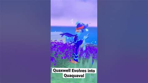 Pokémon Scarlet And Violet Quaxwell Evolves Into Quaquaval Pokemonscarletandviolet Pokemon