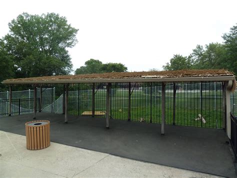 Lion Exhibit Viewing Platform Zoochat