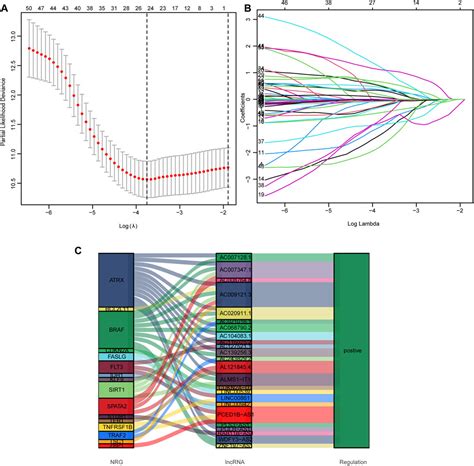 Frontiers A Novel Necroptosis Associated Incrnas Signature For