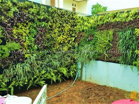 Berikut Ini 21 Contoh Gambar Vertical Garden Dinding Hijau Jasa