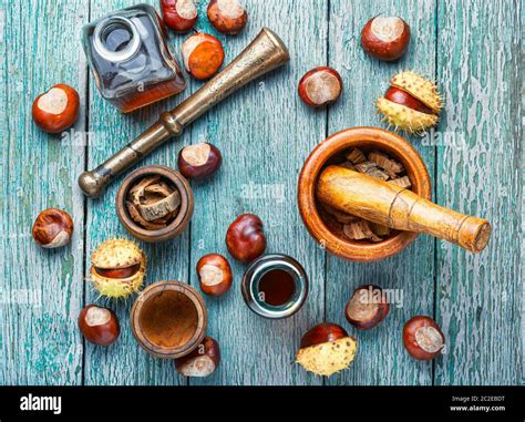 Horse Chestnut Oil Extract In Herbal Medicine Stock Photo Alamy