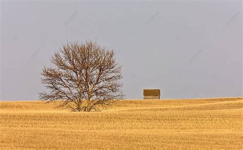 Fundo Fazenda Celeiro Pradaria Canad Ver O Metal Madeira Foto E Imagem