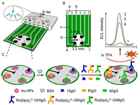 Biosensors Free Full Text Electrochemiluminescence Biosensors Using