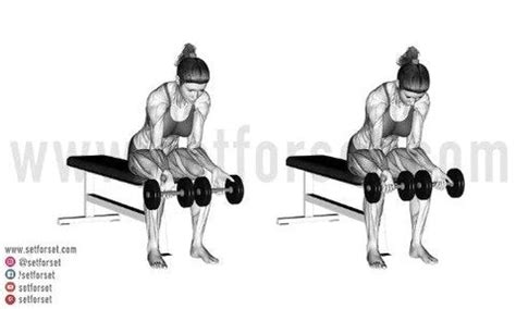 7 Best Dumbbell Forearm Exercises to Build Muscle - SET FOR SET