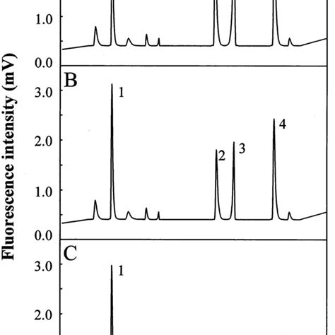 RP HPLC Separation Of The Peptides After Hydrolysis Of PMlabeled P450