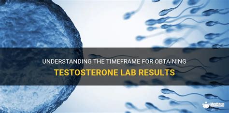 Understanding The Timeframe For Obtaining Testosterone Lab Results Medshun