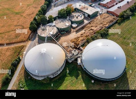 Biogas Plant Gas Storage With Dome Fermenter Tanks For The