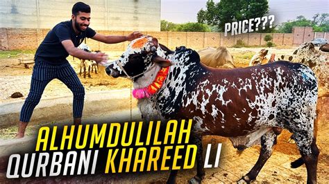 Alhamdulliah Qurbani Ka Janwar Ly Lia 🐄kitny Ka Soda Hua Youtube