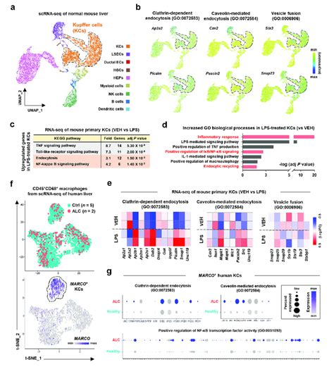 Increased Expression Levels Of Exosome Uptake Process Related Genes In