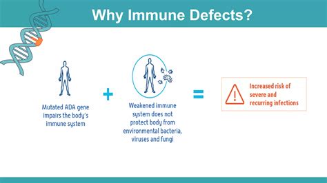 Adenosine Deaminase Deficiency Ppt