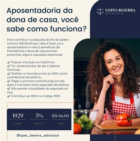 Contribui O Como Dona De Casa Ou Do Lar Voc Sabe Como Funciona