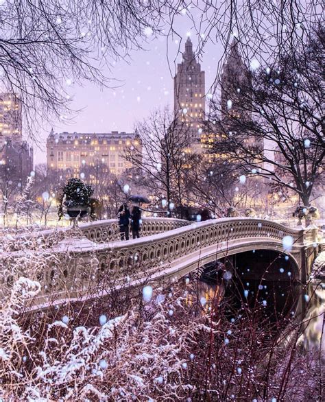 Central Park Christmas Lights | Eqazadiv Home Design