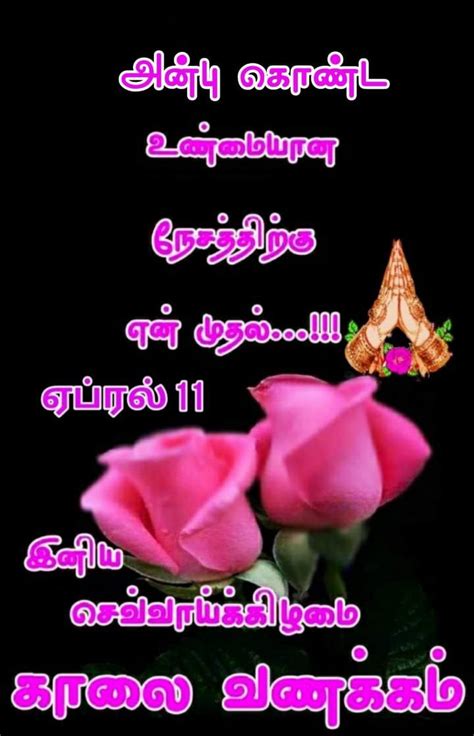 🥰அன்புடன் காலை வணக்கம்🌞 Images • ஜஃப்ரின் மோனிக் Jaffrinmonick On Sharechat