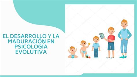 El Desarrollo Y La Maduración En Psicología Evolutiva