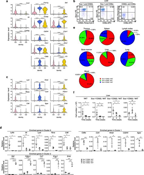 Validation Of Marker Genes And Nkt Cell Subsets Distribution During