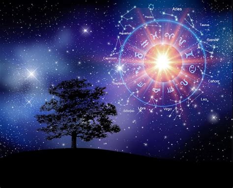 Signos do zodíaco dentro do círculo do horóscopo astrologia no céu