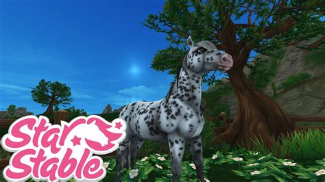 Pferdekauf Daisy Mustang Der Gen 2 Star Stable Online Pferd 175