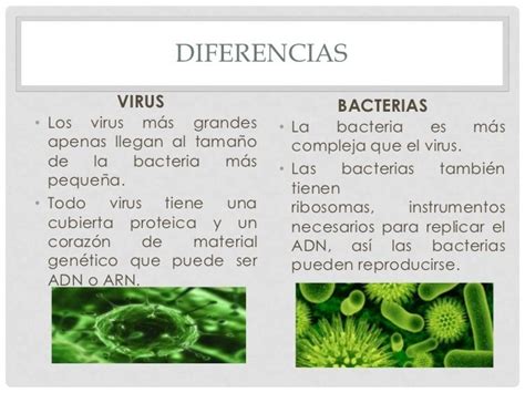 Cuadros Comparativos Entre Bacterias Y Virus Diferencias Y Semejanzas