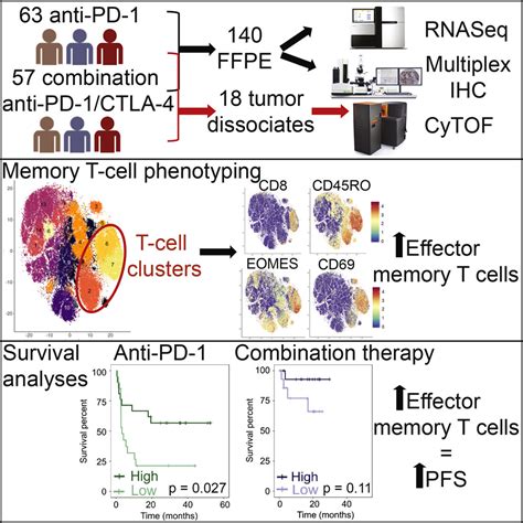 Distinct Immune Cell Populations Define Response To Anti PD 1