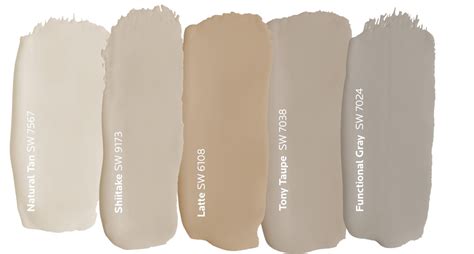 Dark Beige Color Paint