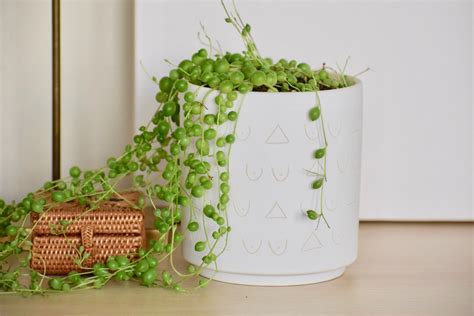 Boob Planter Nude Plant Pot Coquette Quirky Home Decor Funny