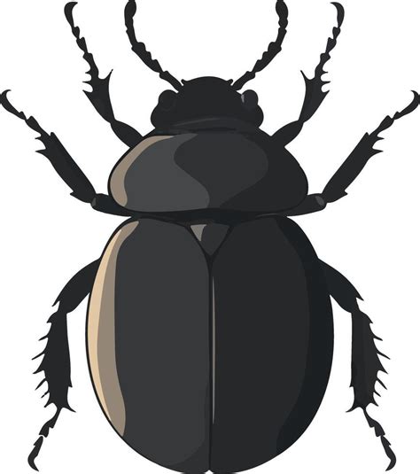 Adorable Cute Simple Dung Beetle Clipart 52238771 Vector Art At Vecteezy