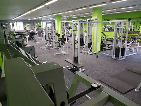 Viking Gym Fitness A Posilovna Nymburk Fitoncz