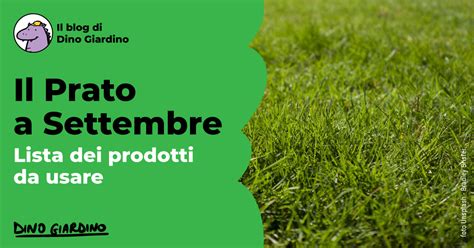 Il Prato A Settembre Prodotti Consigliati Dino Giardino